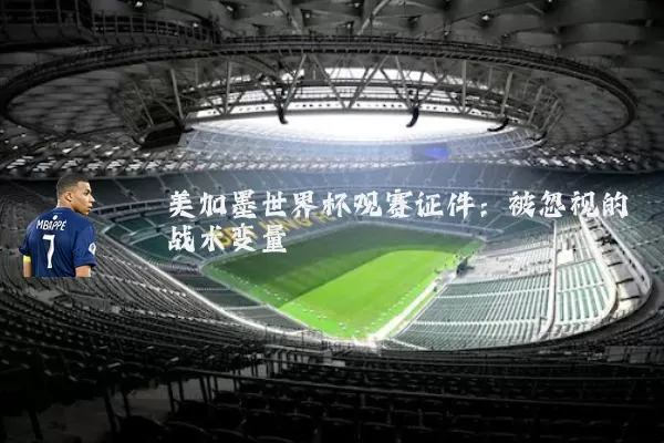 美加墨世界杯观赛证件：被忽视的战术变量